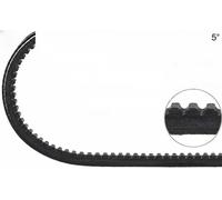 DAYCO 10A1175C Cinghia trapezoidale