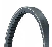 CONTITECH 11,5X755Ld Cinghia trapezoidale 755mm per VW GOLF III (1H1)