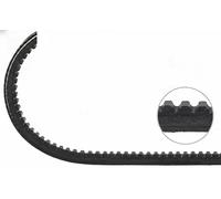 DAYCO 11A1030C Cinghia trapezoidale