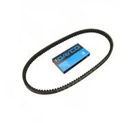 DAYCO 13A1098C Cinghia trapezoidale