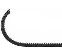 Cinghia Poly-V DAYCO 13A1100C