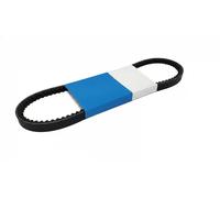 Cinghia Poly-V DAYCO 13A1125C