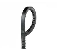 Gates Cinghia Poly-V 6263MC AVX10 x 865
