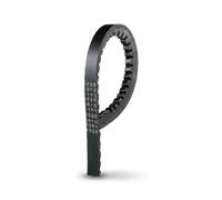 Gates Cinghia Poly-V 6263MC AVX10 x 865