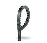 GATES Cinghia Trapezoidale 6309MC