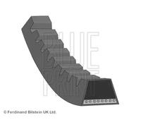 Cinghia trapezoidale AD10V980 BLUE PRINT per MITSUBISHI ISUZU