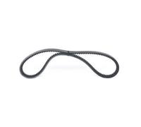 Bosch Cinghia trapezoidale 1 987 947 664 Poly-V