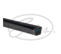 Cinghia trapezoidale AV17X1113HD GATES per TOYOTA MITSUBISHI