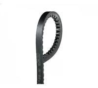 GATES AVX10x1225HD Cinghia trapezoidale
