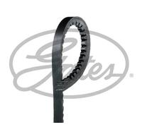 Cinghia trapezoidale AVX13X750HD GATES per MERCEDES-BENZ UNIMOG HECKFLOSSE