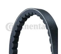 Cinghia trapezoidale AVX13X775 CONTINENTAL CTAM per FIAT SEAT MAZDA NISSAN KIA