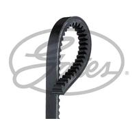 Cinghia di Distribuzione GATES - B40MN