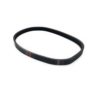 Cinghia Trapezoidale Cinghia A V 1 PEZZO PJ442 174J 3/4/5/6 CINGHIA DI TRASMISSIONE A COSTE PER PIALLATRICE PER LEGNO EINHELL MODALITÀ RC Drive Belt(PJ442 174J 4Rbs)