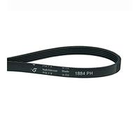 Cinghia trapezoidale cinghia di trasmissione asciugatrice cinghia a costine 1884PH5