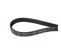 Cinghia trapezoidale cinghia di trasmissione asciugatrice cinghia a costine 1938PH7