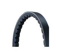 Cinghia Trapezoidale Continental Ctam AVX13X2018 per Daf