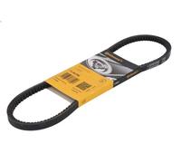 Cinghia trapezoidale CONTITECH 11,5X755Ld per VW VENTO (1H2) 1.8 1991-1998