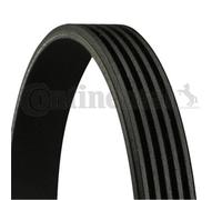 Cinghia trapezoidale Contitech per Alfa BMW Mitsubishi Proton Toyota