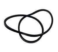 Cinghia trapezoidale del servosterzo for 3.0L 5.0L 5.8L 3853331 960336 3858462 18-15450
