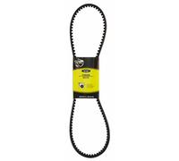 Ama Cinghia Trapezoidale Dentata XPZ 0875 per Trattore - Gomma Telata, Lunghezza 875 mm, Ideale per Agricoltura e Giardinaggio
