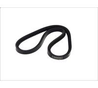 Cinghia trapezoidale DT SPARE PARTS 3.34503 BMW 3 (E21) 2 1975-1982