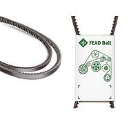 INA FB 10X800 Cinghia trapezoidale