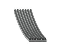 Cinghia trapezoidale Febi per BMW Serie 5 Land Rover Range