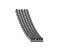 Cinghia trapezoidale Febi per BMW Serie 7 8 Fiat 500x Palio Siena Strada Tipo