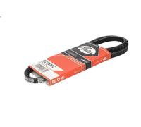 Cinghia trapezoidale GATES 6266MC BMW 3 (E30) 2 1982-1991