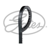 Cinghia trapezoidale 6275MC GATES per BMW RENAULT VOLVO SAAB LANCIA VW FORD