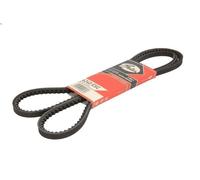 Cinghia trapezoidale GATES AVX10X1500HD MAN R 11.967 1998-2003