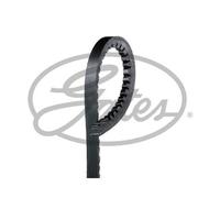 Cinghia Trapezoidale Gates AVX13x1400HD Fleetrunner™ V-belt per Daf Dodge Ford