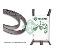 Cinghia trapezoidale Ina per Audi Ford Hyundai Jeep Kia Land Rover