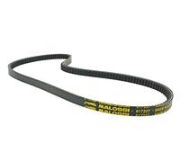 Cinghia trapezoidale Malossi Special Belt per Piaggio, Vespa Ciao, PX50 con Variomatik