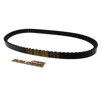 Cinghia trapezoidale MALOSSI X-Special - Muz/MZ Moskito classico 50 2T