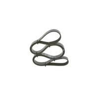Cinghia trapezoidale multirighe 1 987 946 014 BOSCH per LANCIA FORD AUDI SEAT
