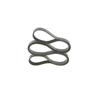 Originale BOSCH Cinghia Scanalata 1 987 946 031 per Alfa Romeo BMW Fiat Hyundai