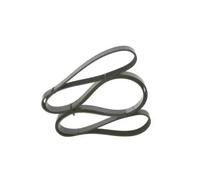 Cinghia trapezoidale multirighe 1 987 946 044 BOSCH per MERCEDES-BENZ JEEP MAZDA