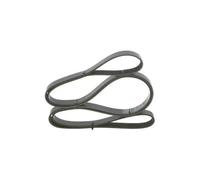BOSCH Cinghia Poly-V per CHRYSLER MERCEDES-BENZ STEYR 1 987 946 046