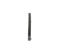 Bosch 5PK1219 - Cinghia trapezoidale a nervature - 1987946084
