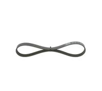 Bosch 1 987 946 134 Cinghia Scanalata per Ford C-Max DM2 Volvo C30 533