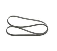 BOSCH Cinghia Poly-V 1 987 947 981 VW,AUDI,FORD,PASSAT Variant (3B6),PASSAT Variant (3B5),GOLF II (19E, 1G1),PASSAT (3B3)