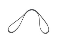 Cinghia Poly-V BOSCH 1 987 948 348