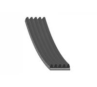 Cinghia trapezoidale multirighe 10 92 8885 SWAG per RENAULT MERCEDES-BENZ KIA