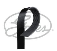 Cinghia trapezoidale multirighe 10PK1340HD GATES per RENAULT TRUCKS VOLVO