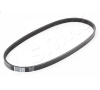 Cinghia trapezoidale multirighe 112-4PK800 ASHIKA per SUZUKI HONDA NISSAN KIA