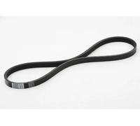 Cinghia trapezoidale multirighe 112-4PK815 ASHIKA per TOYOTA NISSAN HONDA SUZUKI