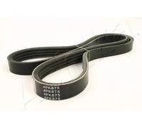 Cinghia trapezoidale multirighe 112-4PK875 ASHIKA per MITSUBISHI MAZDA HYUNDAI