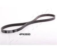Cinghia trapezoidale multirighe 112-4PK880 ASHIKA per MITSUBISHI TOYOTA NISSAN