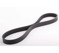 Ashika Cinghia trapezoidale multirighe 112-6PK850 per PEUGEOT TOYOTA CITROËN